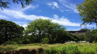 大人も楽しめる