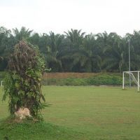 周りは広いグランドでした