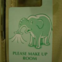 ちょっとかわいい札だったのでパシャリ！