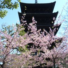 弘法市の日の五重塔