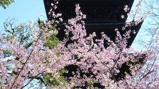 弘法市で混んでいたけれど。