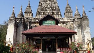 マハボディ、つまり菩提樹です。釈迦が悟りを開いた地を意味します。