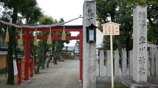 幸せを呼ぶ「カエル石」があります！