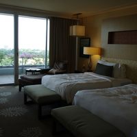 ガーデンズバイザベイが見えます