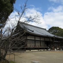 特別拝観中の金堂