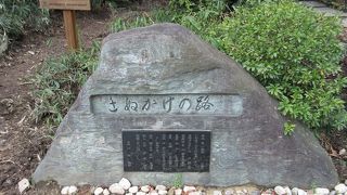 緑豊かな観光道路 ♪