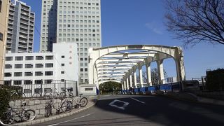 珍しい形式の橋。
