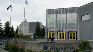 アラスカシーライフセンター