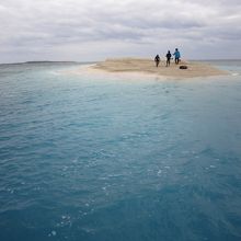 サンゴの島！