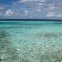 ブルーのグラデーションが美しい