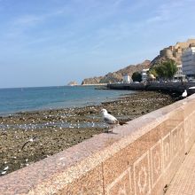 カブース湾の海岸通りからも見えてます、マスカット島も…。