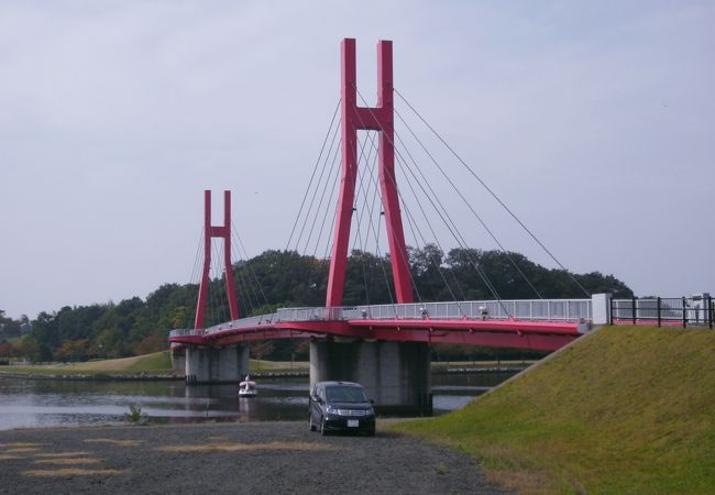 自転車、歩行者専用の真っ赤な斜張橋