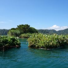 少数民族の神聖な島があります