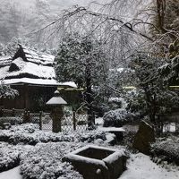 吹雪・雪景色の庭。白黒写真みたいに・・・