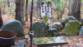 陣ヶ岡歴史公園 (陣ヶ岡陣営跡)