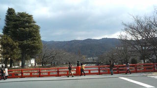 桜の時期に歩きたい疏水沿いの散歩道