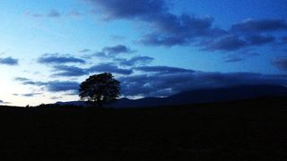 雰囲気がありました。