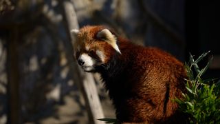 ハマっ子のオアシス