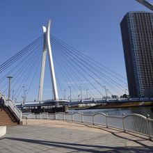 橋から隅田川テラスに降りていくと見つかります。