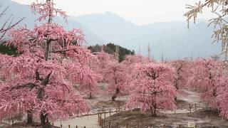 鈴鹿の森庭園