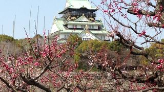 やはり素晴らしい。