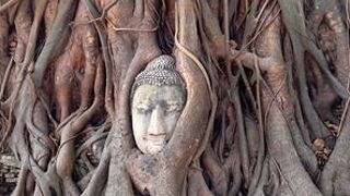 初めてのアユタヤ