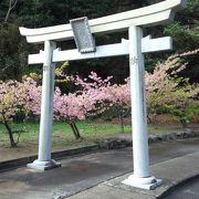 急な階段と山道の先には絶景が！