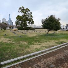 この石は何かな？