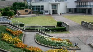 水仙の最盛期にまた訪れてみたい