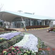 東松戸ゆいの花公園