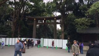 神様の存在が感じられる深い森