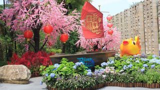 パンダに会える