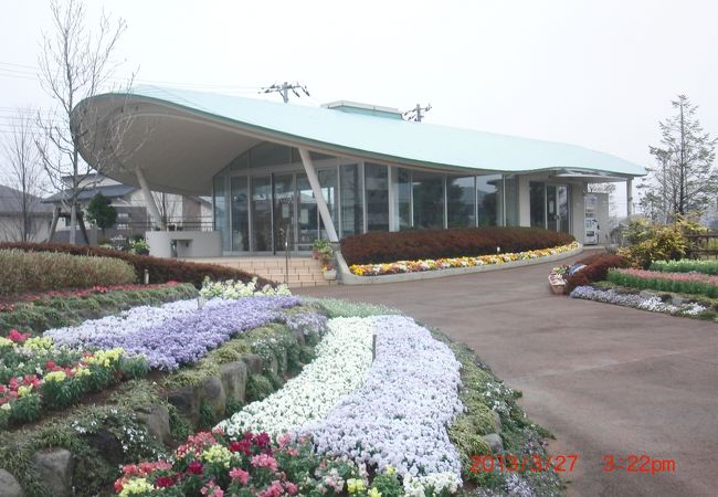 東松戸ゆいの花公園 クチコミ アクセス 営業時間 松戸 フォートラベル 東松戸ゆいの花公園 クチコミ アクセス 営業時間 松戸 フォートラベル