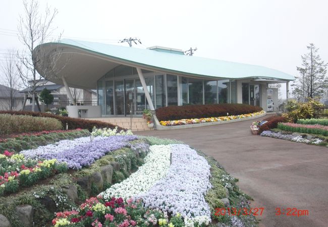 東松戸ゆいの花公園