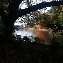 秋の上の池
