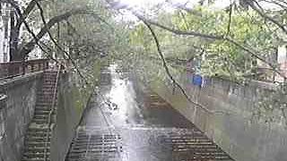 まもなく桜のシーズン