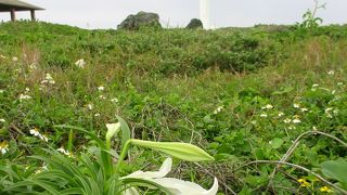 ダイナミックな景観が素晴らしい