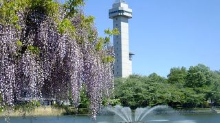 入場無料の展望スポット！