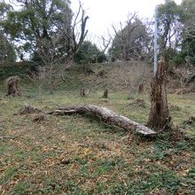 主郭部後方は土塁跡