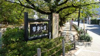 水路に沿った長い散歩道