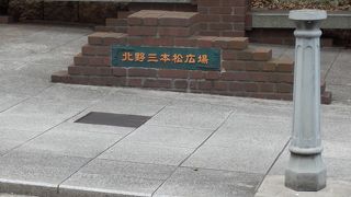 今は枯れた一本松