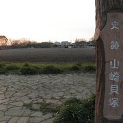 縄文時代の貝が地表に散在していました