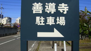 大きなしだれ桜