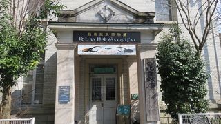 古き良き昆虫館