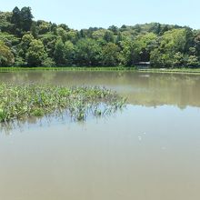 静かな雰囲気です。