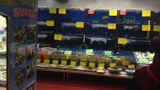 新鮮な魚介類がいただけます