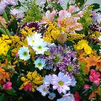 エレベータ前の花