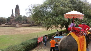 遺跡を眺めなら象に乗る！タイに来た雰囲気が味わえる