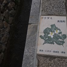 薬の町なので