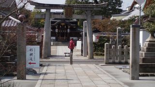 パワースポットです